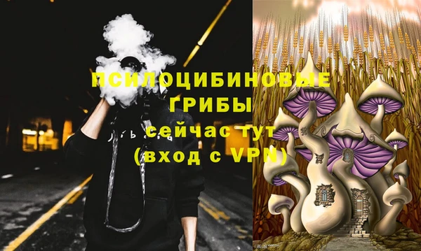 мдпв Каменногорск