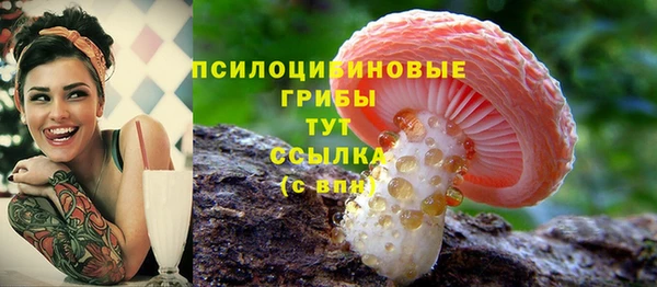 мескалин Заволжье