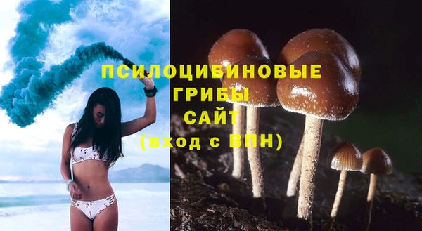 ГАЛЛЮЦИНОГЕННЫЕ ГРИБЫ Зеленодольск