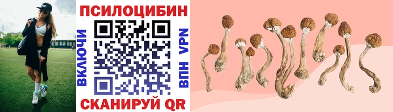 Купить закладки  Инза  Галлюциногенные грибы мухоморы 